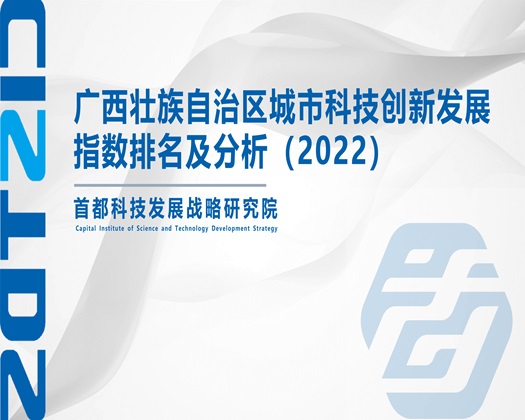 www,逼逼日【成果发布】广西壮族自治区城市科技创新发展指数排名及分析（2022）